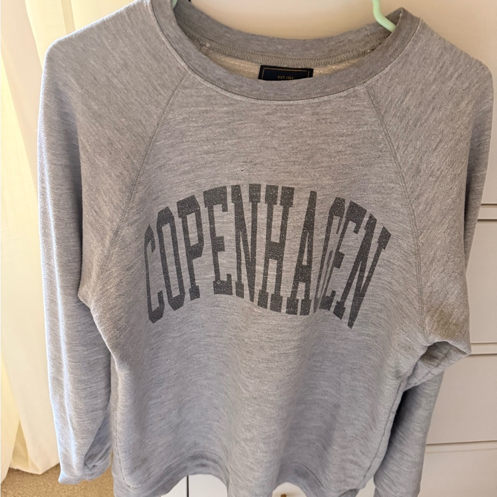 Gray Copenhagen Sweatshirt free people